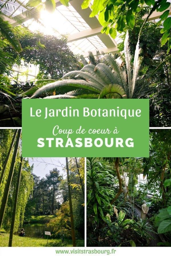 Appartement 6 Personnes Strasbourg Proche Centre Ville & Parking Esterno foto